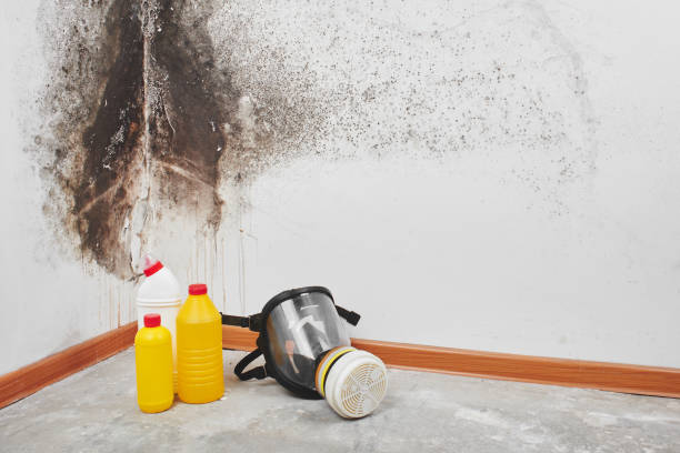 Mold Remediation for Vacation Homes in Waynesboro, PA